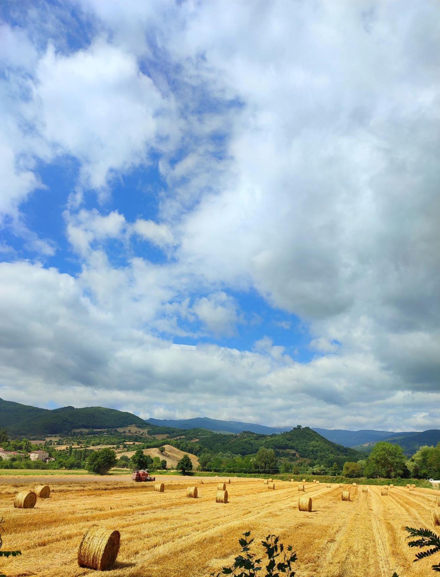 Podere Verdi Colline بوبّي المظهر الخارجي الصورة